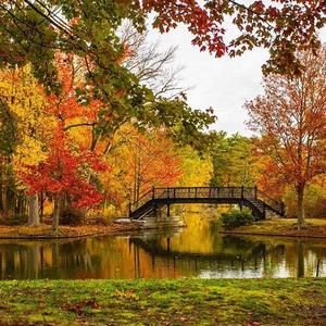 Meet your Posher, Floridalma